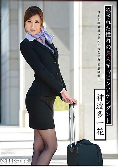 作品画像
