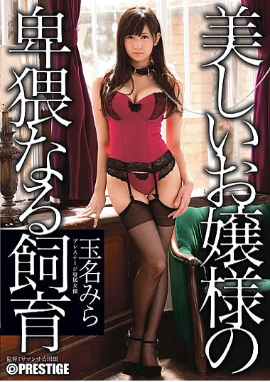 作品画像