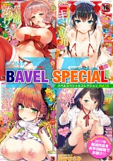 COMIC BAVEL SPECIAL COLLECTION(コミックバベル　スペシャルコレクション) VOL12 パッケージ画像表