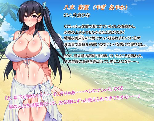 お姉ちゃんハンターズ！僕たちを興奮させるお姉ちゃんが悪いんだ！　～常夏ビーチ編～：キャラクター