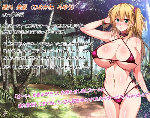 お姉ちゃんハンターズ！僕たちを興奮させるお姉ちゃんが悪いんだ！　～常夏ビーチ編～：キャラクター