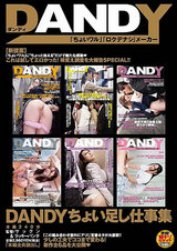 DANDYちょい足し仕事集 パッケージ画像表