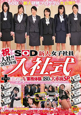 祝入社！！2013年度 SOD新人女子社員 入社式＋はじめてのAV 業務体験に180分大赤面SP パッケージ画像表