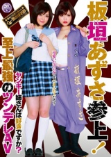 ヤンキー姉さんは好きですか？ 板垣あずさ パッケージ画像