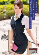 お姉様クロニクル 11 パッケージ画像
