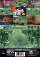 女房の騎乗位うpします パッケージ画像裏