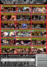 キャットファイト大全集33 パッケージ画像裏