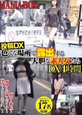 投稿DX 色んな場所で露出する大胆な素人女たち DX 4時間 パッケージ画像