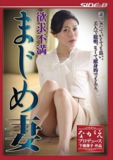 欲求不満まじめ妻 中島京子 パッケージ画像
