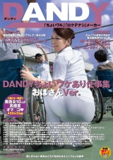 DANDYちょいワケあり仕事集 おばさんVer. パッケージ画像