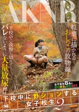 下校中に野ションする女子校生 2 パッケージ画像