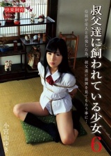 叔父達に飼われている少女6 パッケージ画像