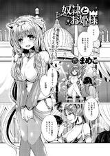 奴●とお姫様 パッケージ画像表