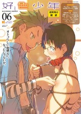 好色少年 vol.06 パッケージ画像表