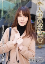 人妻の浮気心 澤村レイコ パッケージ画像