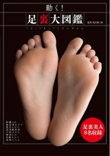 動く！足裏大図鑑 パッケージ画像