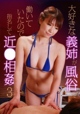 大好きな義姉が風俗で働いていたので指名して近●相姦（3）	 パッケージ画像