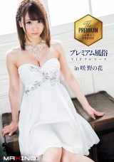 プレミアム風俗VIPフルコース in 咲野の花 パッケージ画像