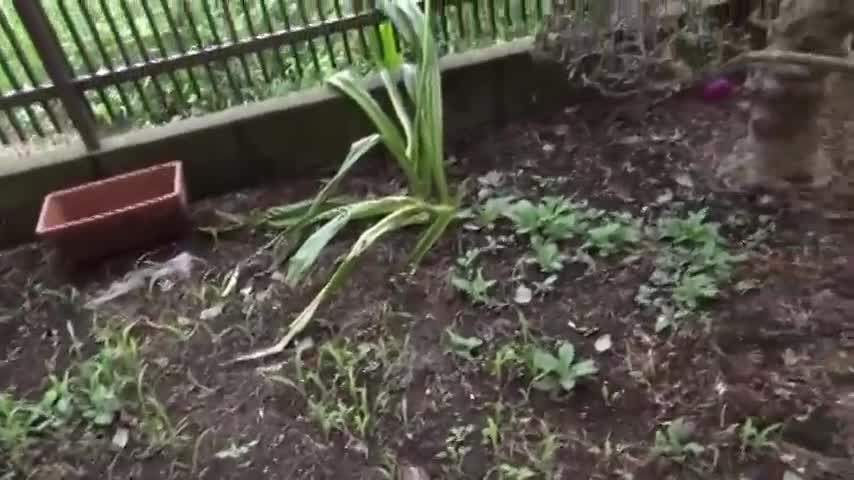 サンプル画像23