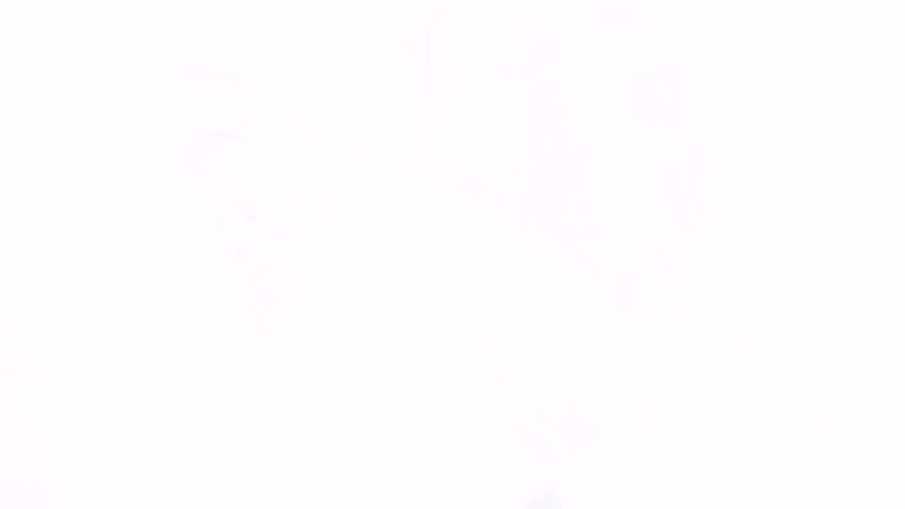 サンプル画像19