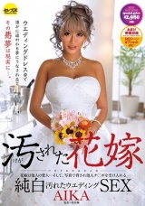汚された花嫁 AIKA パッケージ画像表