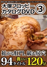大塚フロッピーカタログDVD 3 パッケージ画像
