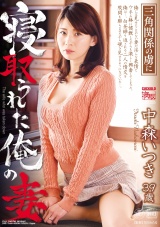 寝取られた俺の妻 三角関係の虜に パッケージ画像