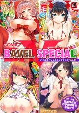 COMIC BAVEL SPECIAL COLLECTION(コミックバベル　スペシャルコレクション) VOL11 パッケージ画像表