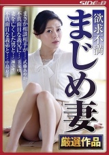 欲求不満 まじめ妻 厳選作品 パッケージ画像