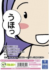 三国志熟女 この美熟女は三国志をアツく語りたいんです！ 井上綾子 パッケージ画像裏