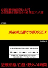 渋谷某公園での野外SEX パッケージ画像表