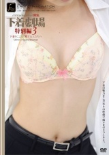 下着劇場 特別編3 パッケージ画像