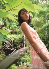 愛しのフィエーダ 竹田ゆめ パッケージ画像
