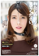 わたしの豚ヅラ、見てください。 森沢かな パッケージ画像