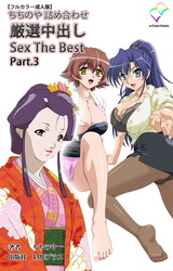 ちちのや詰め合わせ 厳選中出し Sex The Best Part.3【フルカラー成人版】 パッケージ画像