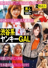 渋谷系ヤンキーGAL  パッケージ画像