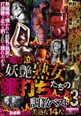 咽び泣く妖艶熟女たちの鞭打ち調教ベスト3 パッケージ画像