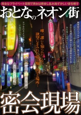 おとなのネオン街 密会現場 パッケージ画像表