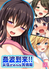 姦波到来!!女性がみんな発情期（3） パッケージ画像