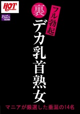 裏フル勃起デカ乳首熟女 マニアが厳選した垂涎の14名 パッケージ画像