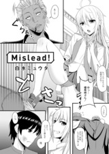 Mislead！  パッケージ画像