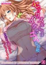 セックスをしてはイケない二人なのに～それ以上進んだら入っちゃうよ…！～（2） パッケージ画像