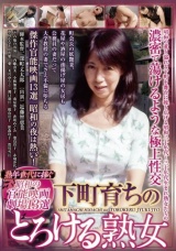 熟年世代に捧ぐ昭和の官能映画劇場13選 下町育ちのとろける熟女 CEND-009 パッケージ画像
