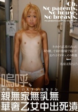 嗚呼、親無家無乳無華奢乙女中出死漬 パッケージ画像