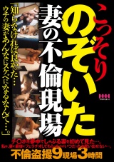 こっそりのぞいた 妻の不倫現場 パッケージ画像
