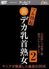 裏フル勃起デカ乳首熟女2 マニアが厳選した垂涎の20名 パッケージ画像表