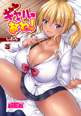 ギャルあね！ パッケージ画像