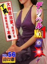 デリヘルNo.1盗●！(56)～大物政治家も利用する下関の超有名店で本● パッケージ画像表
