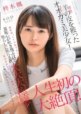 羊（清楚）の皮を被ったオオカミ（スケベ）美少女！「お願いだからもうイカせてください…」撮影前“イクの恥ずかしい”と言っていた柊木楓が羞恥心が吹き飛ぶほど焦らしに焦らされ大大大痙攣！人生初の大絶頂！ パッケージ画像