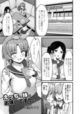 えっちな妹はお嫌いですか？  パッケージ画像